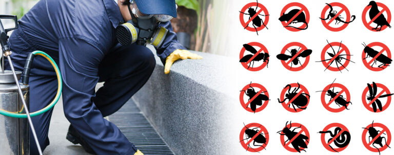 The Importance of Pest Control in Muscat